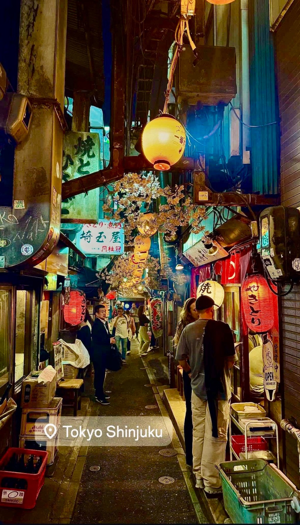Arriving in Tokyo