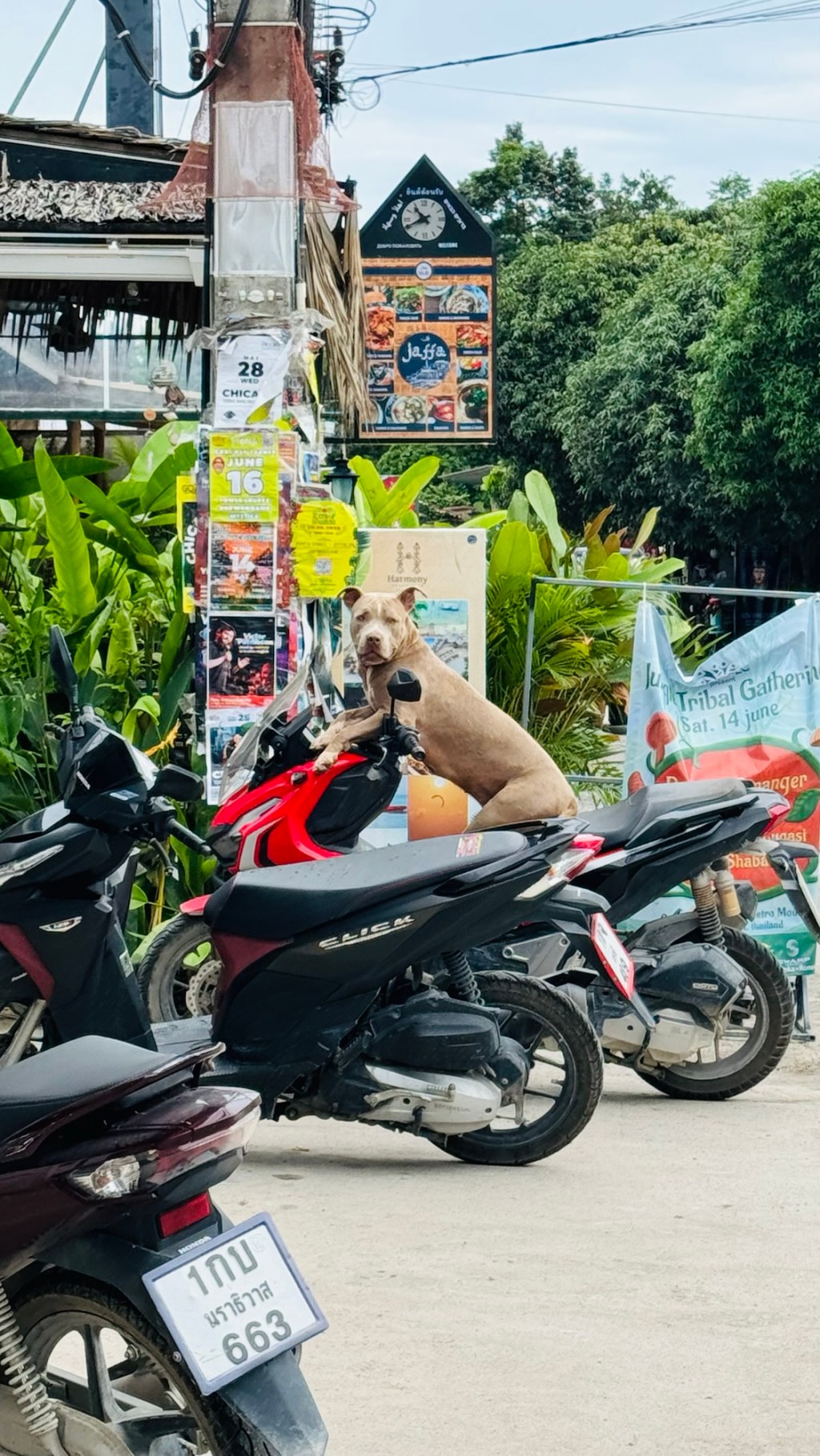 Namaste Koh Phangan